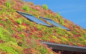 Cucumber Corner living roof systems