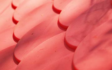 Cucumber Corner plastic roof costs