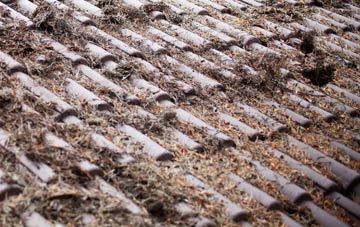 Cucumber Corner roof cleaning companies