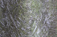 Cucumber Corner fibreglass roof work